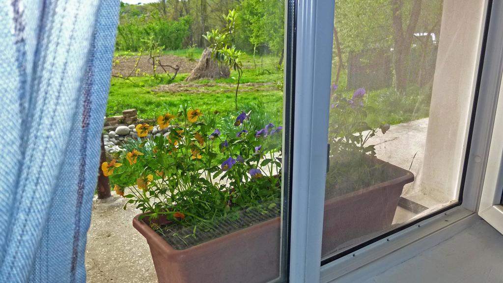 צקאלטובו Country House Uliana מראה חיצוני תמונה