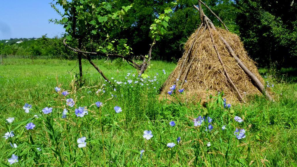 צקאלטובו Country House Uliana מראה חיצוני תמונה