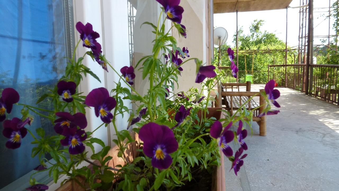 צקאלטובו Country House Uliana מראה חיצוני תמונה