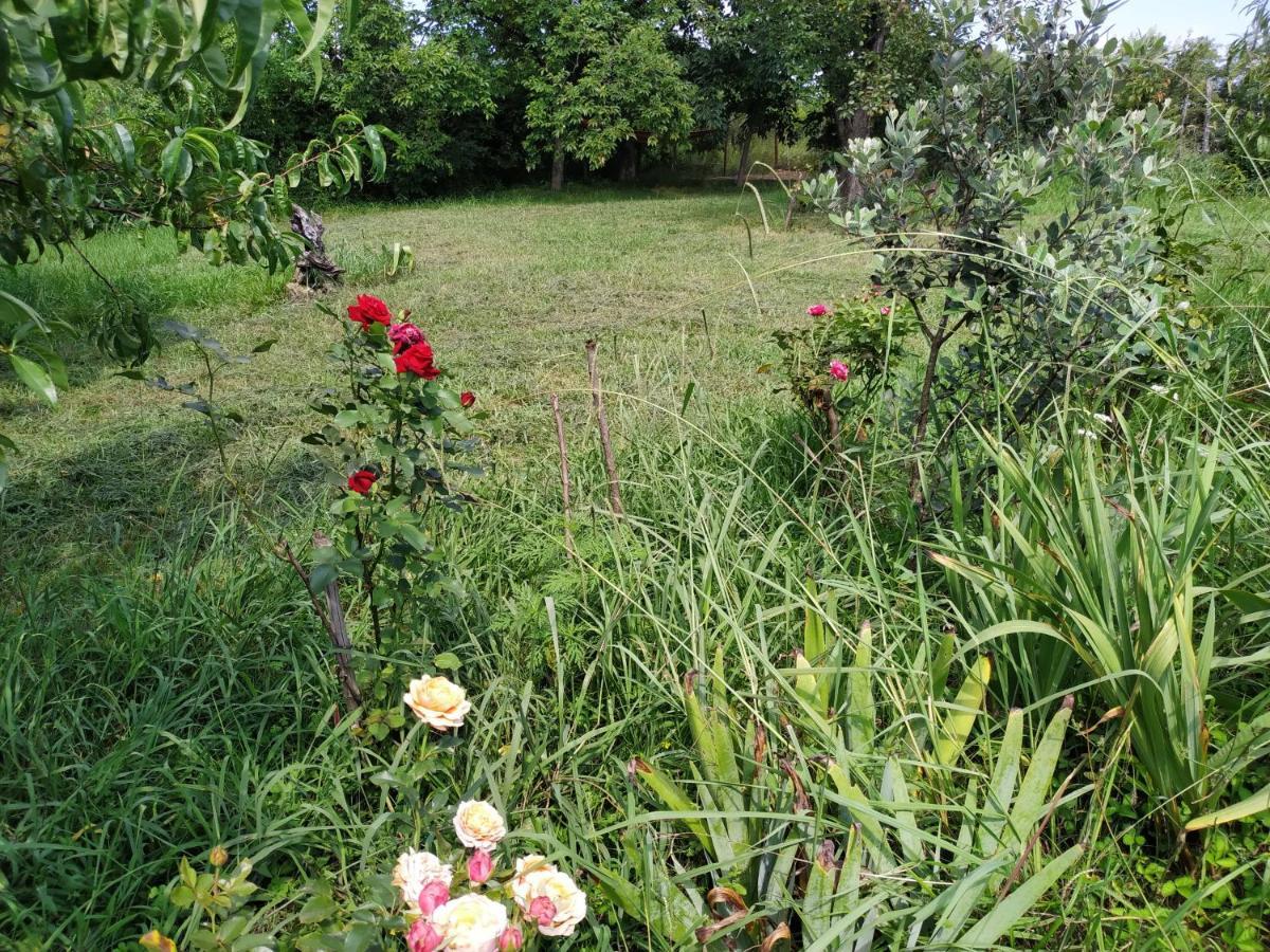 צקאלטובו Country House Uliana מראה חיצוני תמונה
